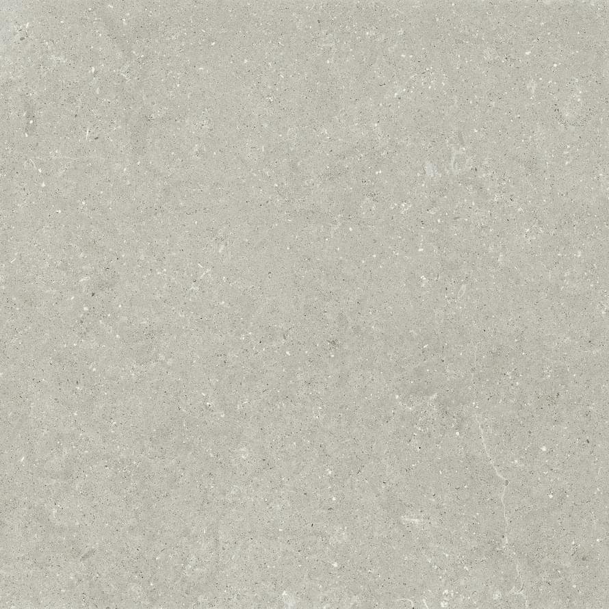 Del Conca Wild 5 Grey Rett Hard 120x120