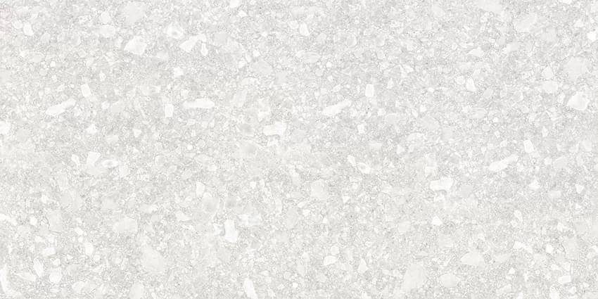 Delacora Turin Light 60x120