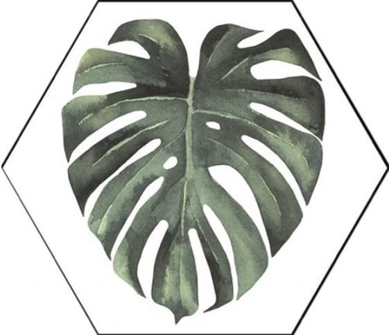 Diffusion Hexagon Orientation Jungle 22x25