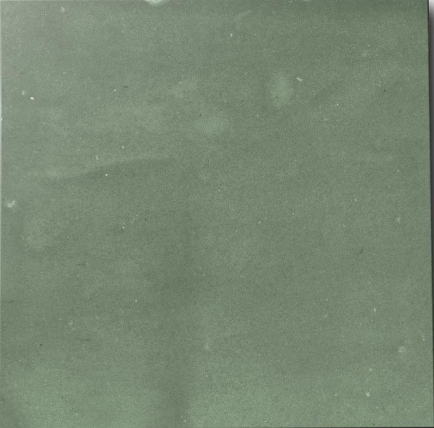 Diffusion Zellige Vert Pale 42 10x10