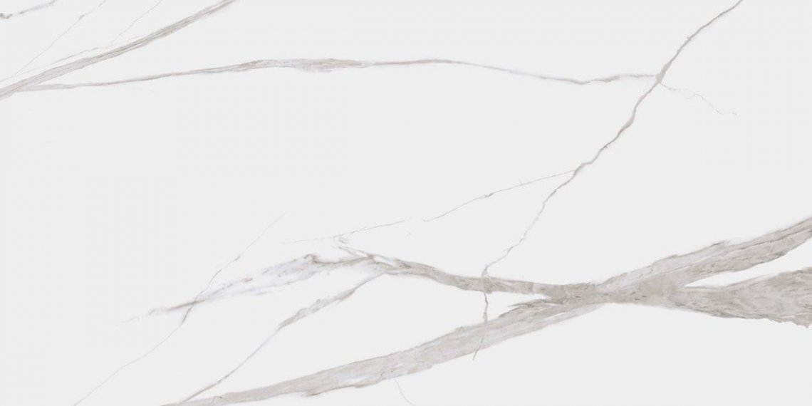Dogma Project Antibacterial Calacatta Levigato 60x120