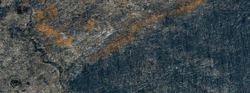 Dual Gres NiceKer Bierzo 21.5x58