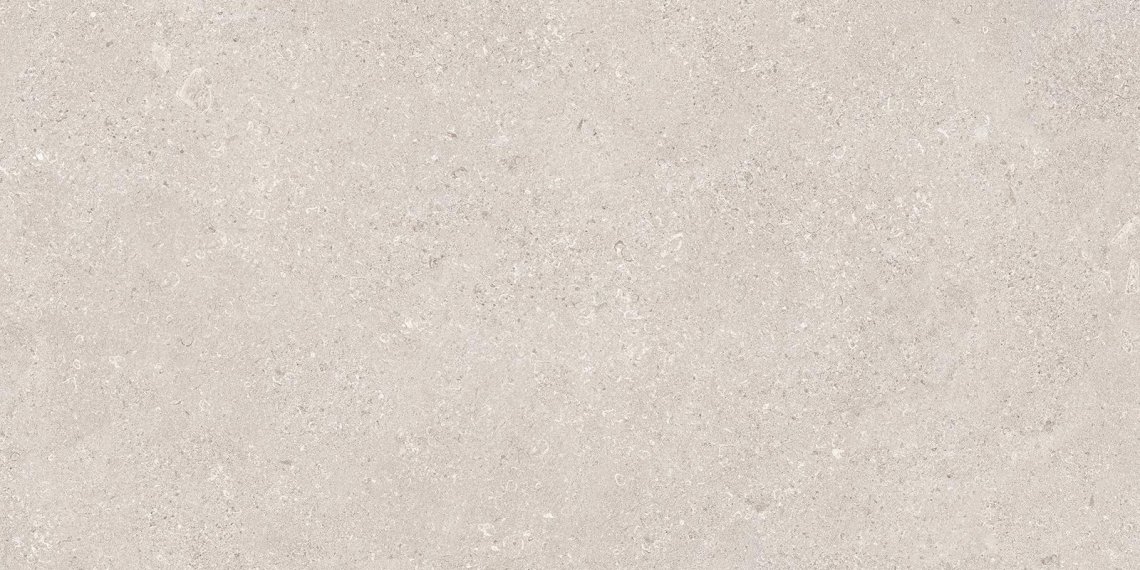 Emil Ceramica Mapierre Noble Gris 60x120