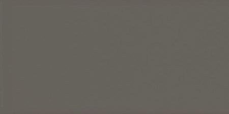 Equipe Evolution Gris Oscuro Brillo 7.5x15