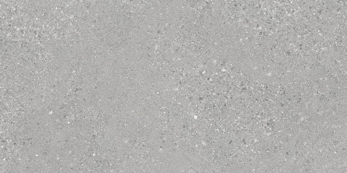 Ergon Grain Stone Grey Rough Grain Lappato 60x120