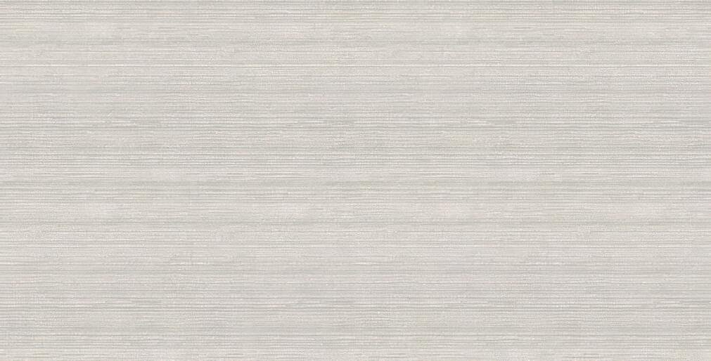 Fakhar Karpi Light Grey Simple Decore 60x120