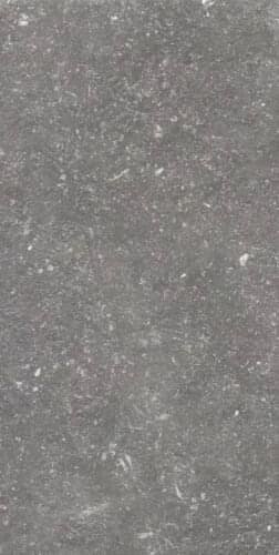 Florim Atmospheres De Rex Charme Pat Smooth R9 40x80
