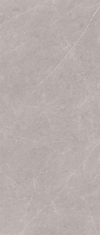 Florina Ceramics Slab Pietra Grey Light 120x278