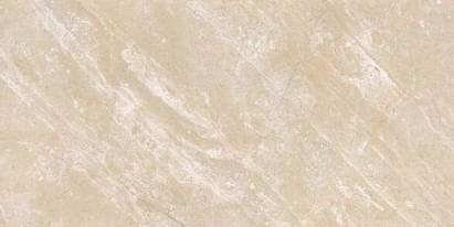 Gani Ice Age 60x120