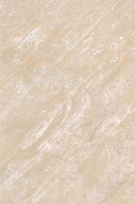 Gani Ice Age 60x90