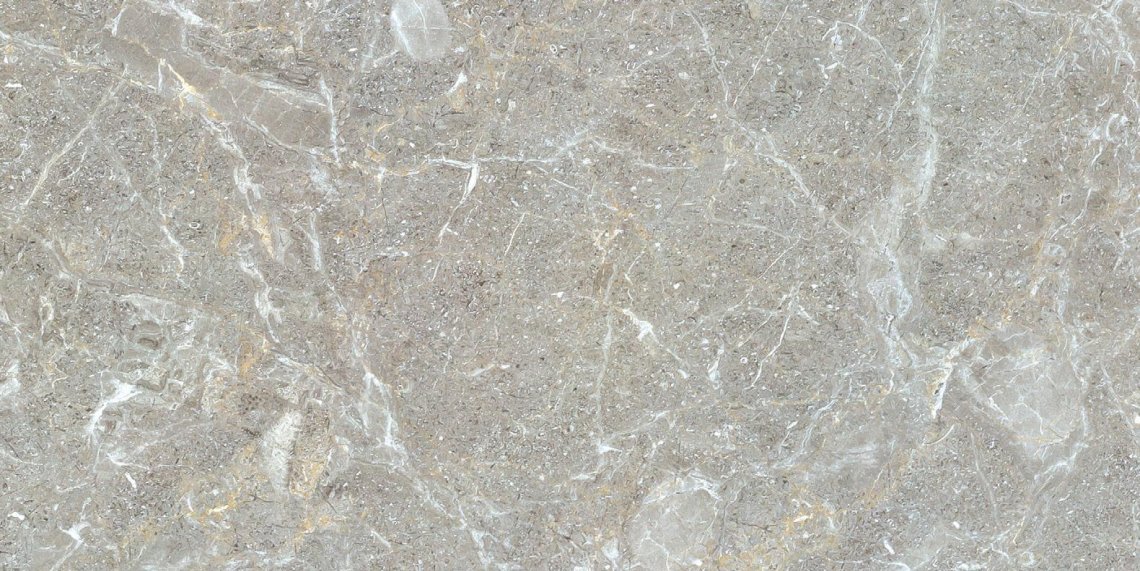 Gani Illinois Grey 60x120