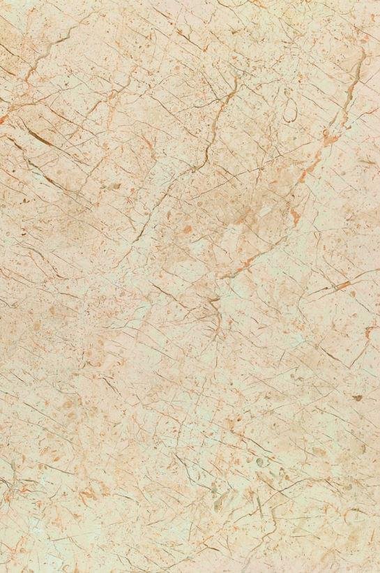 Gani Jurassic Beige 60x90