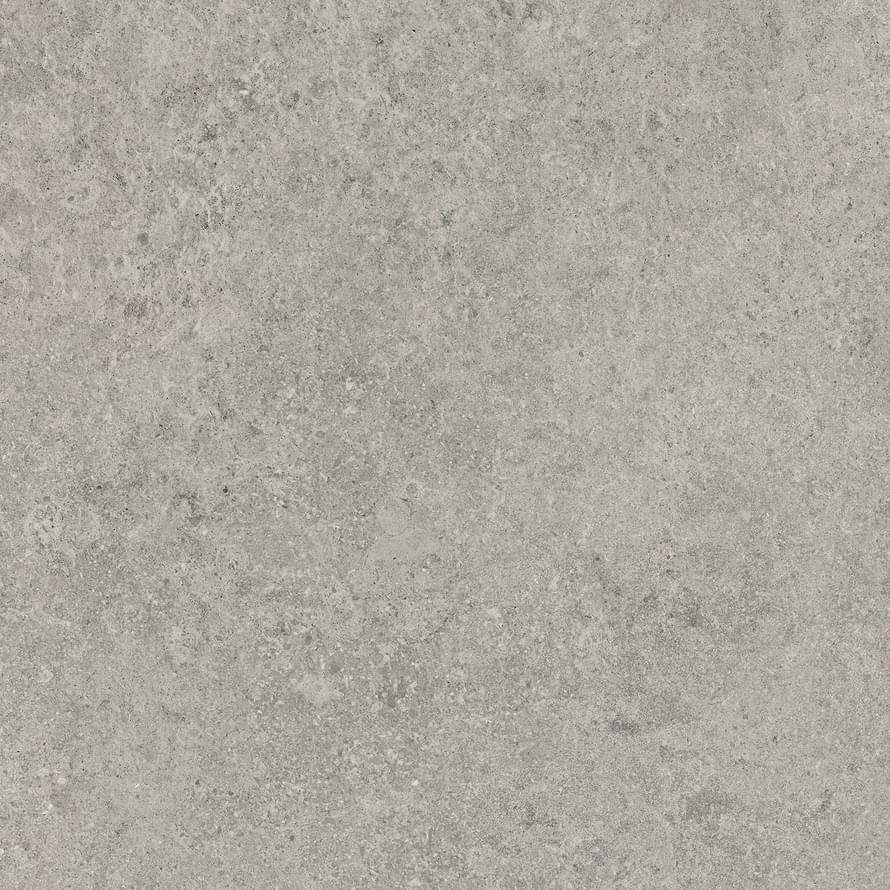 Gardenia Orchidea Origini Gris Royal 80x80