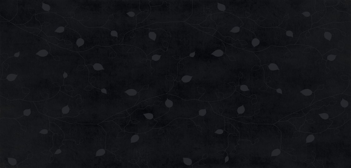 Gigacer Concrete Signs Black Buds 6 mm 120x250