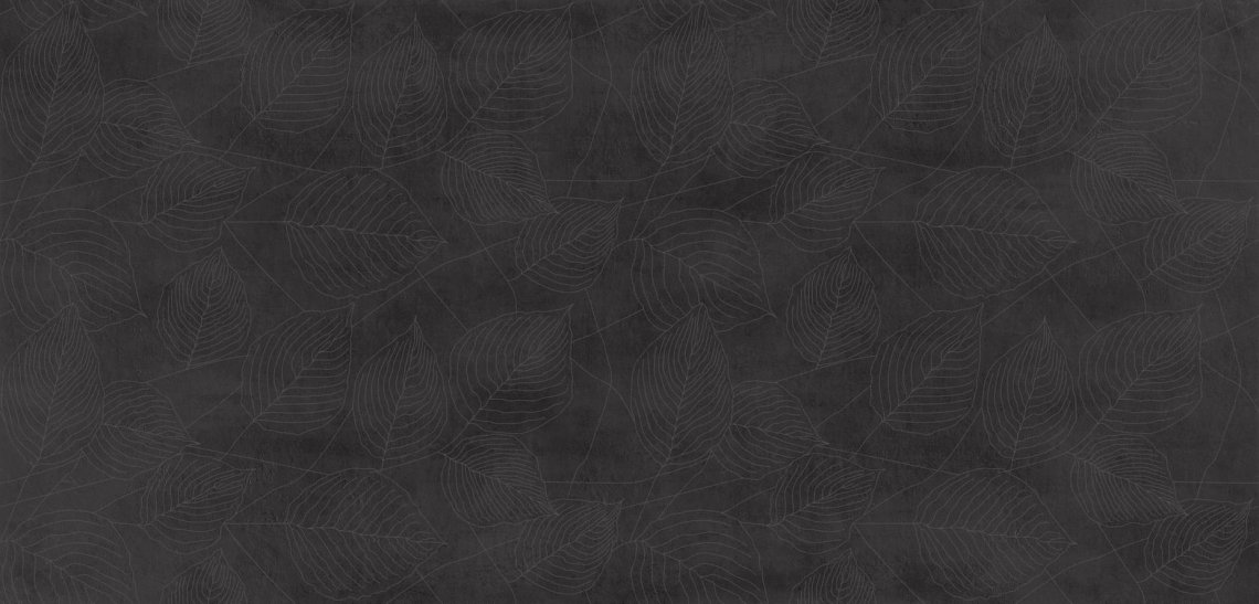 Gigacer Concrete Signs Graphite Leaves 6 mm 120x250