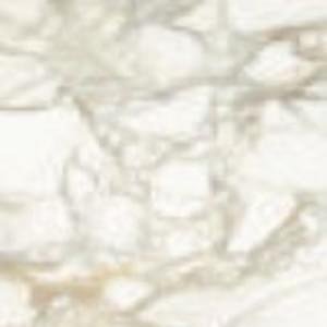 Graniti Fiandre Marmi Maximum Calacatta Dorato Honed 75x75