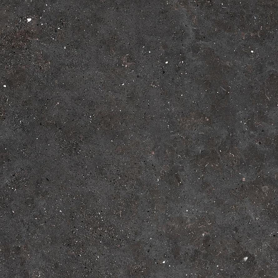 Graniti Fiandre Solida Black Honed 60x60