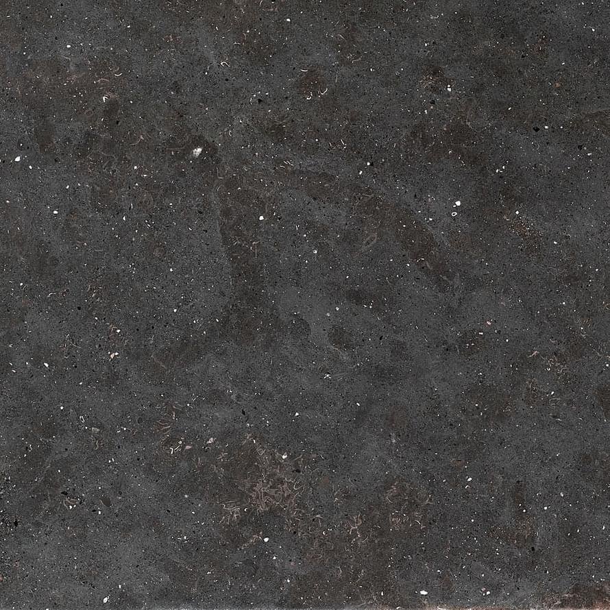 Graniti Fiandre Solida Black Strutturato 60x60