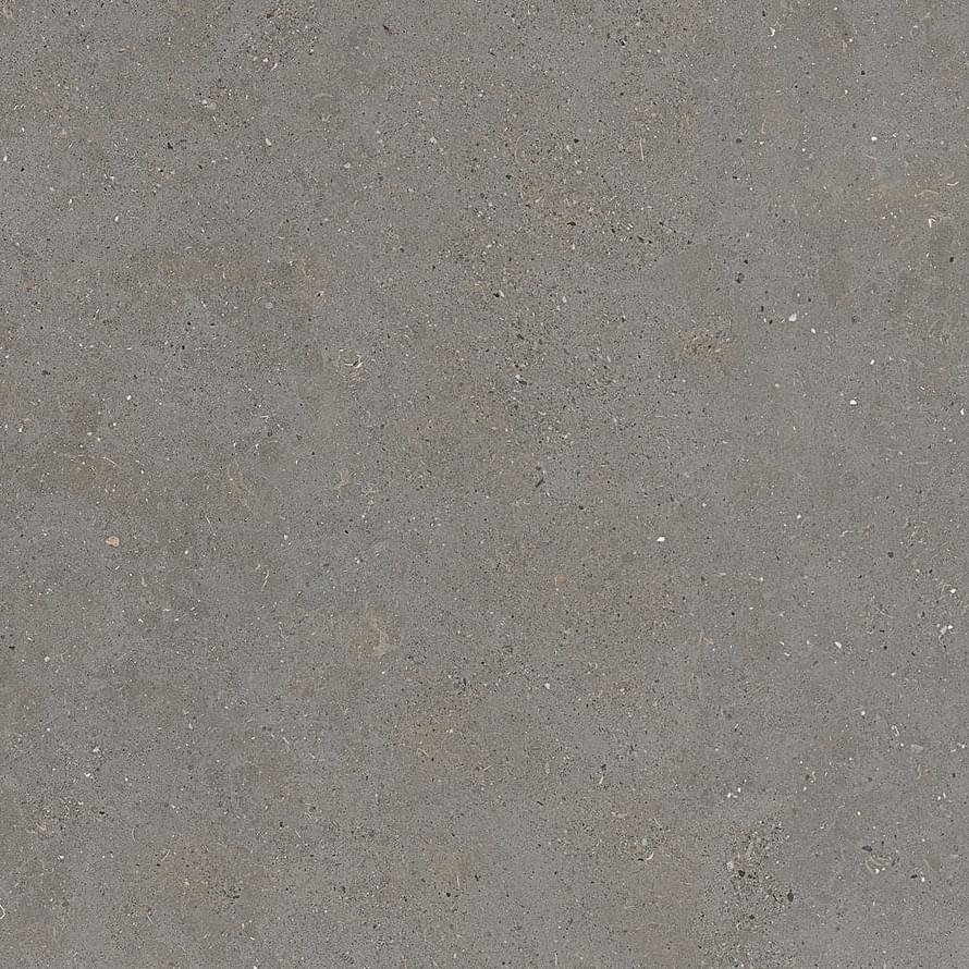 Graniti Fiandre Solida Grey Honed 100x100