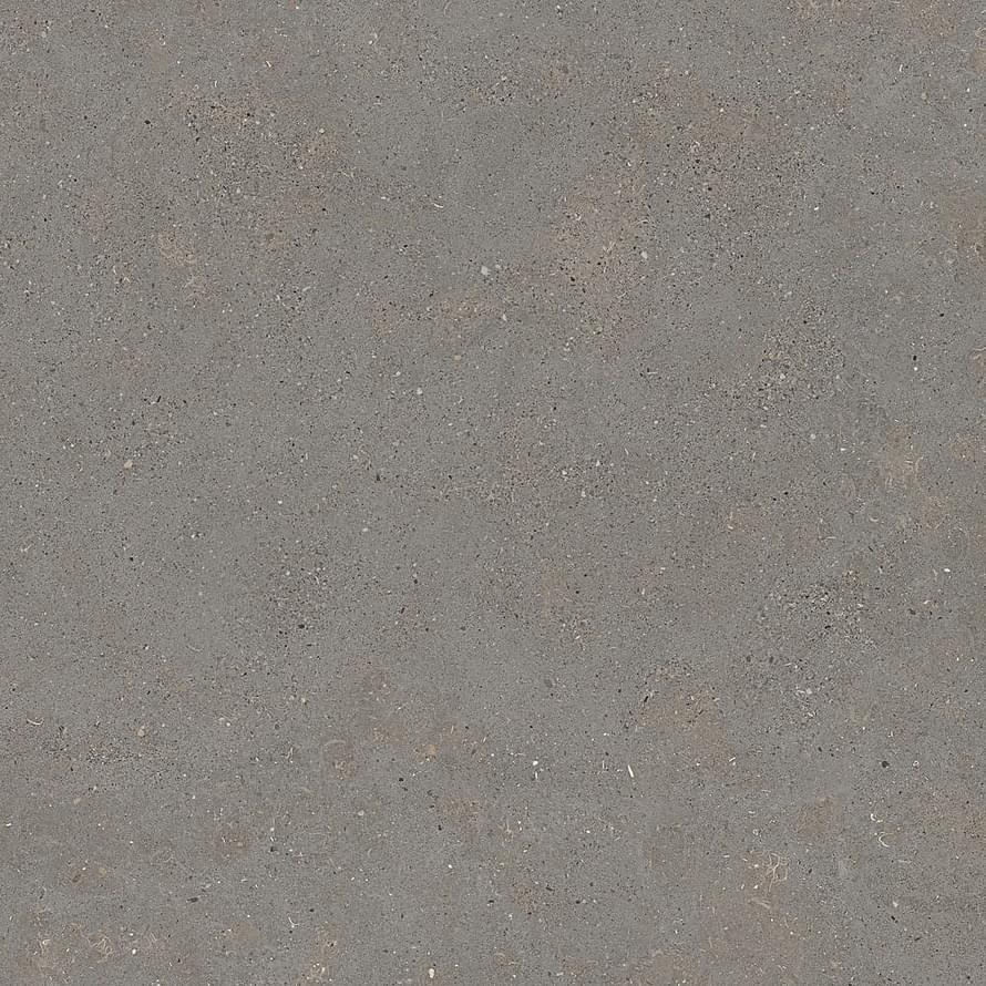 Graniti Fiandre Solida Grey Honed 60x60