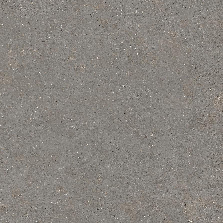 Graniti Fiandre Solida Grey Prelucidato 100x100