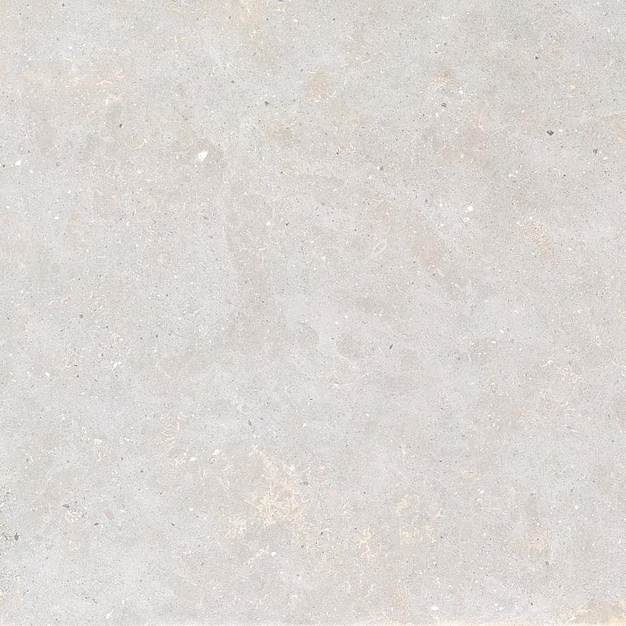 Graniti Fiandre Solida White Prelucidato 100x100