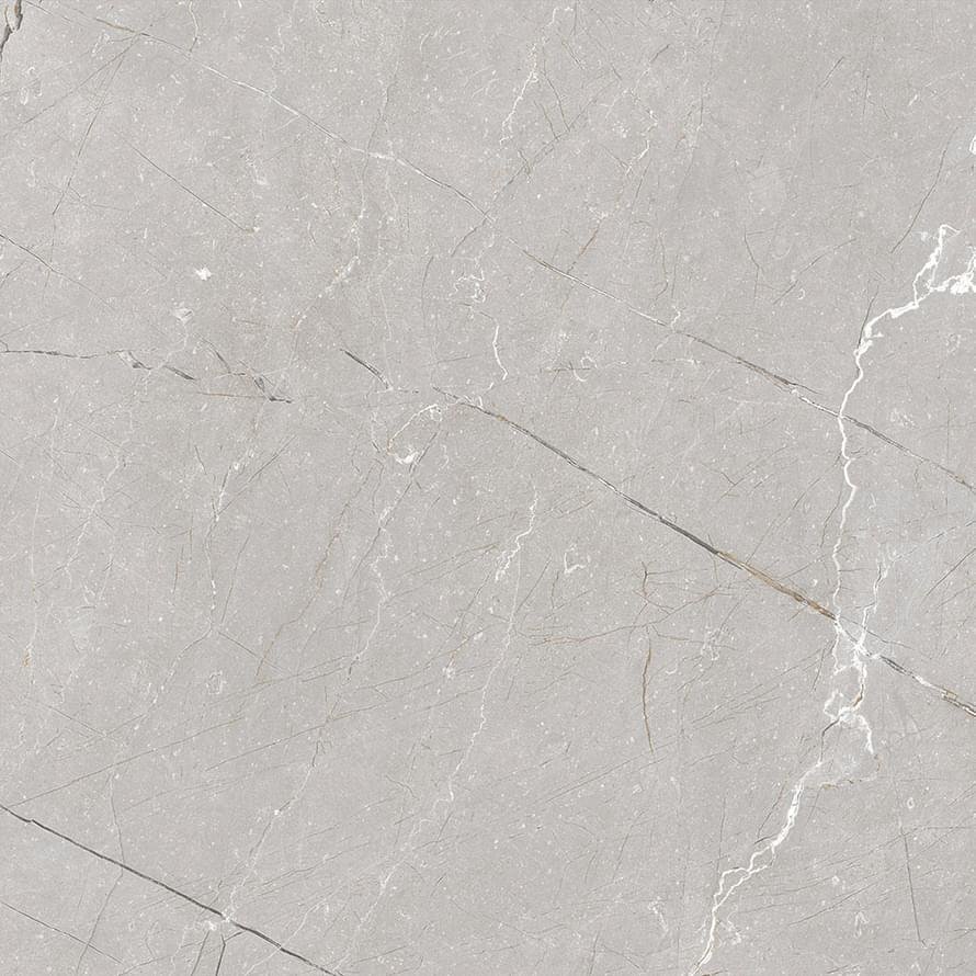 Gravita Larice Grey 60x60