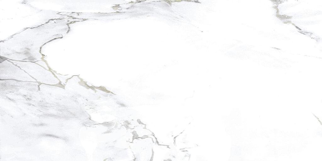 Gravita Monster White 60x120