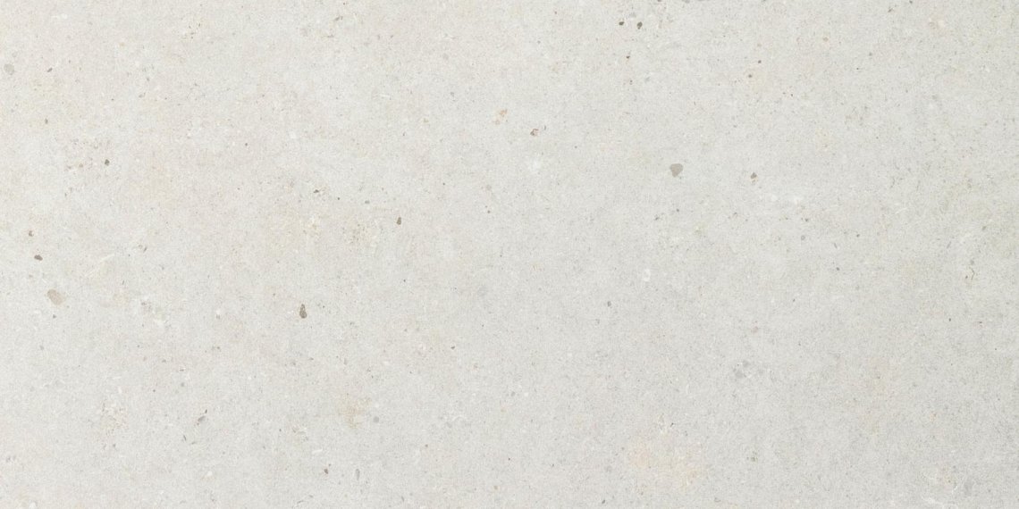 Impronta Italgraniti Silver Grain White Area Plus 60x120