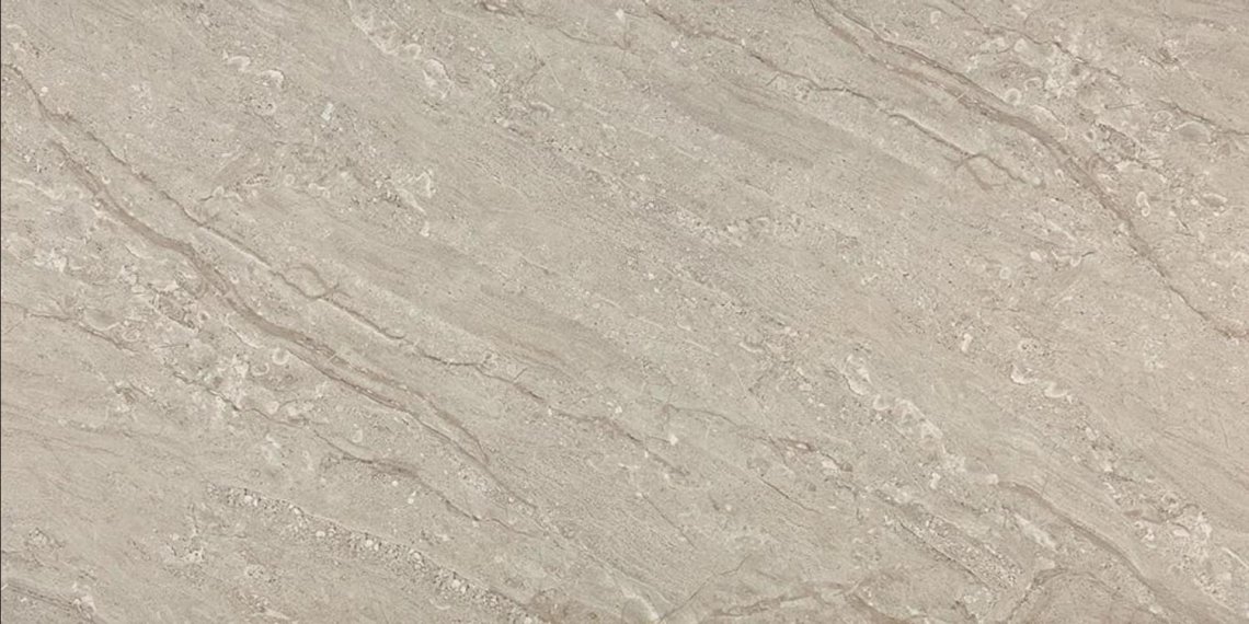 Kutahya Arma Grey Polished 60x120