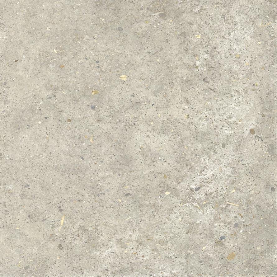 La Fabbrica Ava Agglomerate Shell Nat Rett 60x60