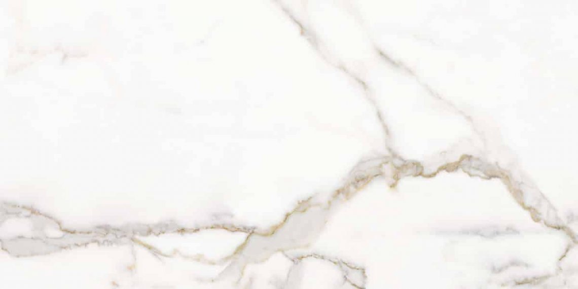 La Fabbrica Ava Marmo E Pietra Calacatta Oro Lapp 60x120
