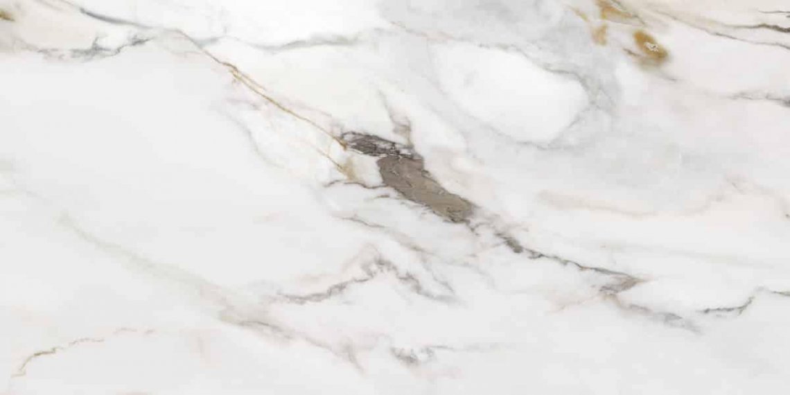 La Fabbrica Ava Marmo E Pietra Macchia Antica Lapp 60x120