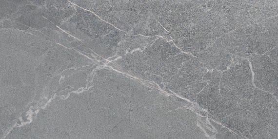 Lasselsberger Диккенс Серый 30x60