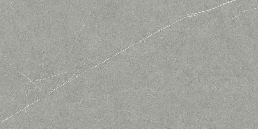 Living Ceramics Allure Grey Ductile 60x120