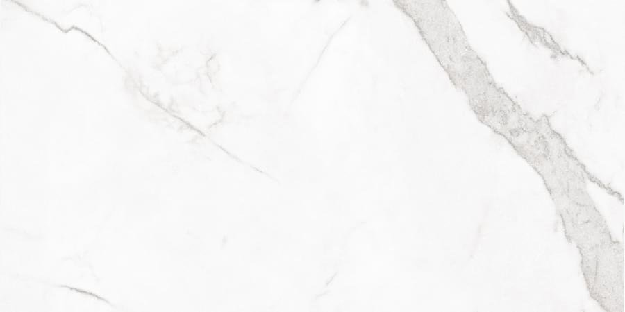 Living Ceramics Blanc Calacatta Ductile 60x120