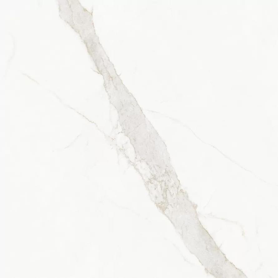Living Ceramics Blanc Calacatta Gold 120x120