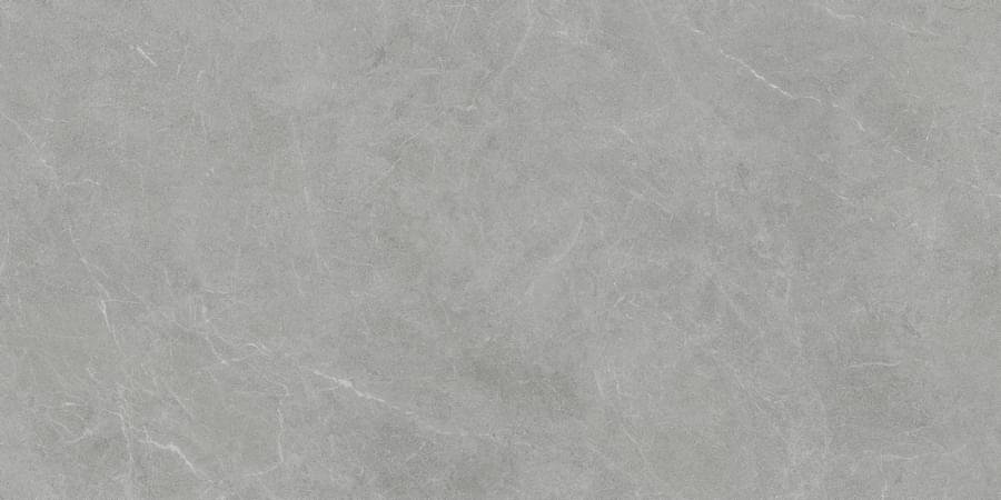 Living Ceramics Vonn Grey 60x120