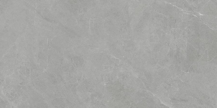 Living Ceramics Vonn Grey Ductile 60x120