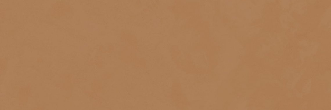 Love Ceramic Tiles Splash Orange 20x60