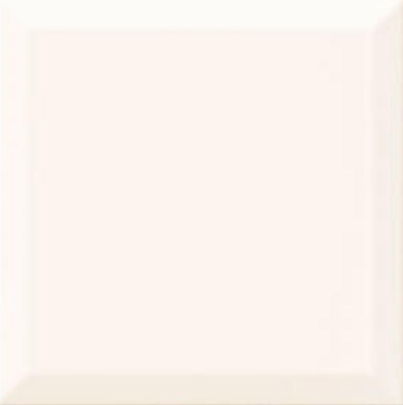 Mainzu Chroma Biselado Blanco 20x20