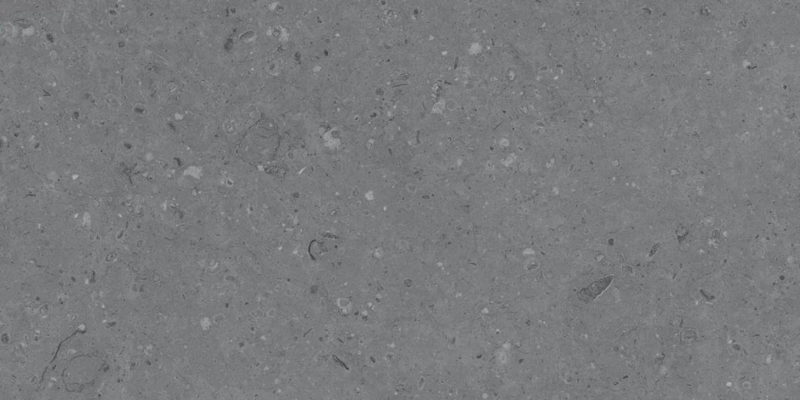MDetails Cemento Ammonite Grey Matt 60x120