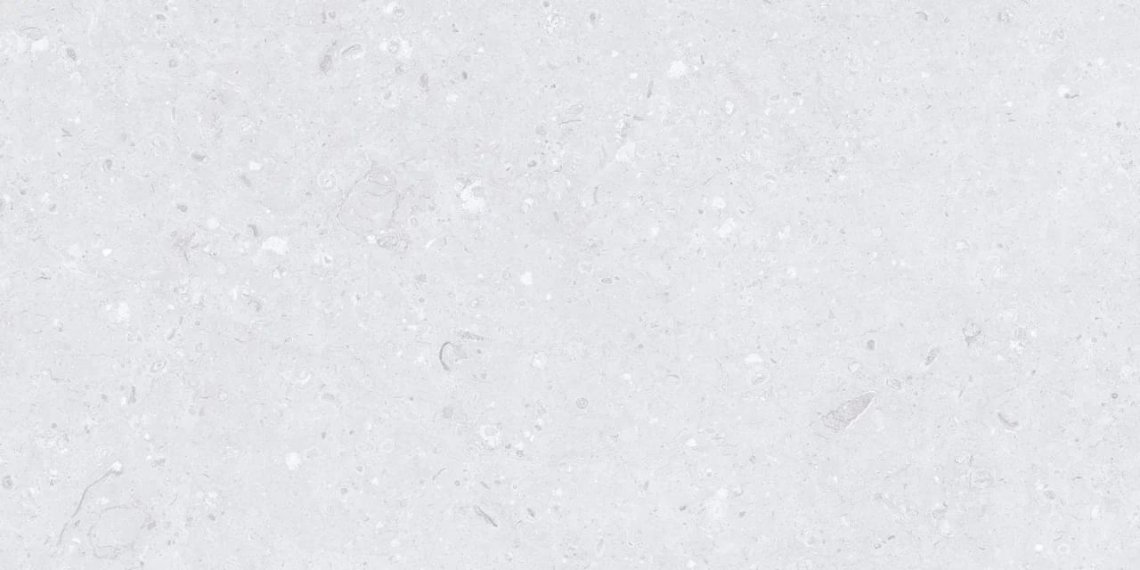 MDetails Cemento Ammonite Silver Matt 60x120