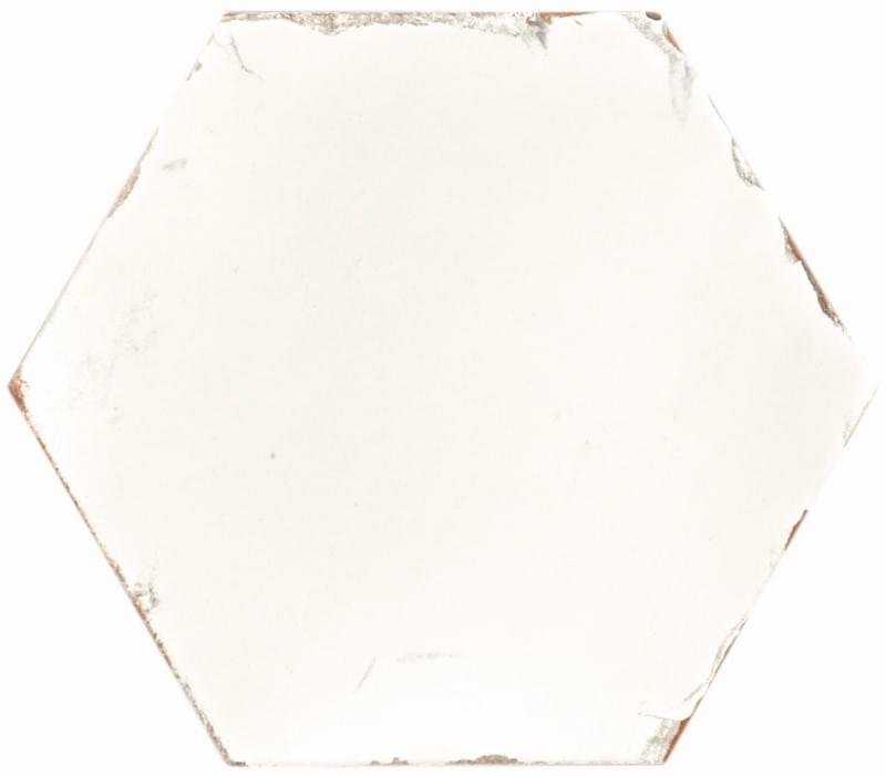 Monopole Studio Ivory 20x24