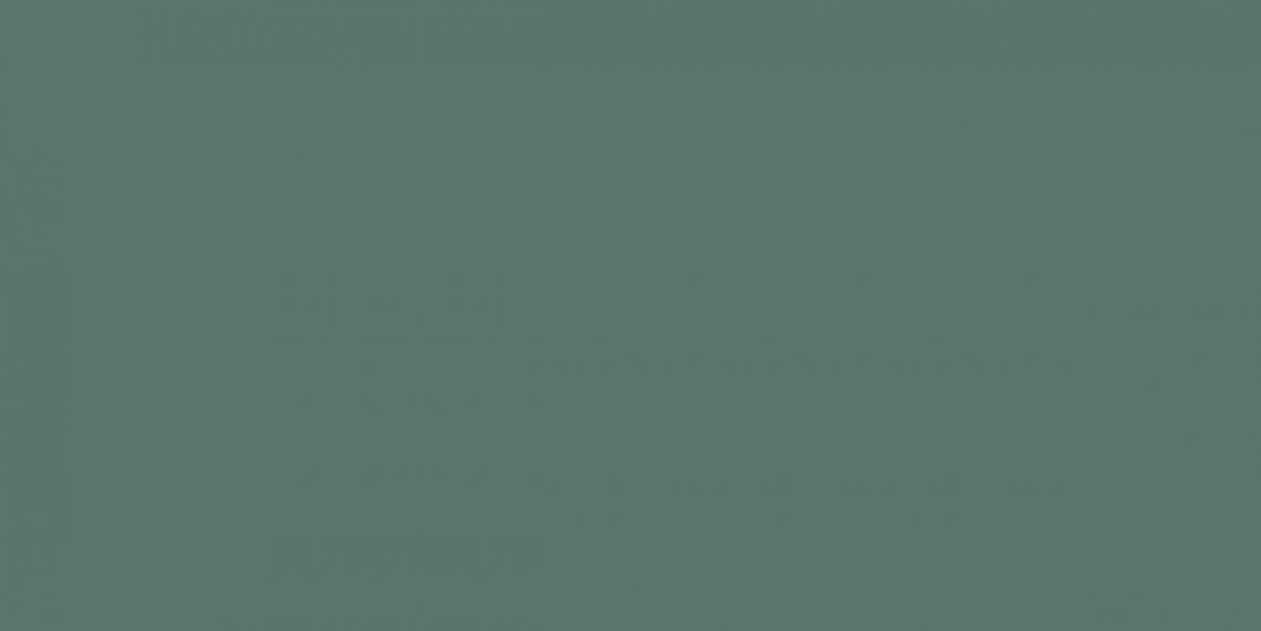 Neodom Design Colors Leaf Matt 60x120
