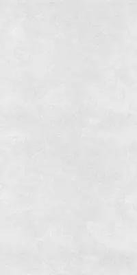NT Ceramic Cemento Concept White 60x120