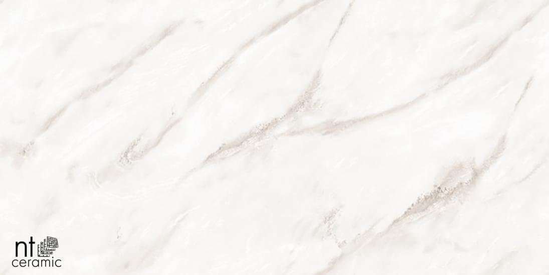 NT Ceramic Marmo Empire Pearl Endless 60x120