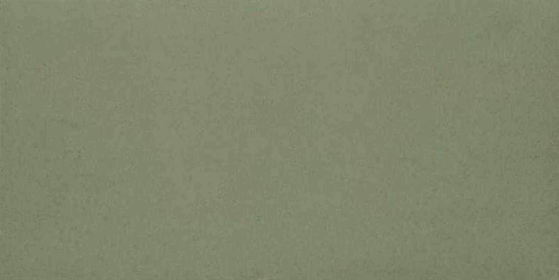 Ornamenta Miseria E Nobilta Moss 60x120