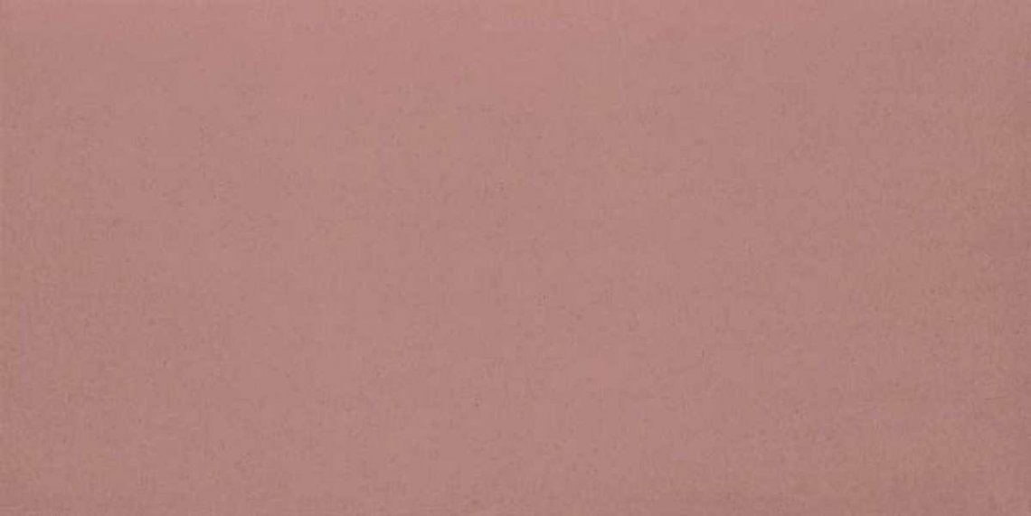 Ornamenta Miseria E Nobilta Strawberry 60x120