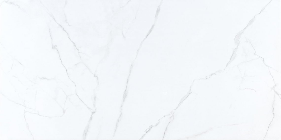 Pamesa Lincoln White 6 mm Pol 120x280